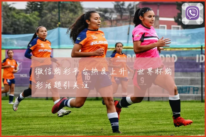 微信购彩平台热度上升，世界杯购彩话题引关注